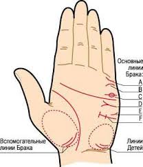 как по линиям на руке узнать сколько будет браков Hiromantiya Braka Palmistry Palm Reading Blog