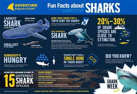 Did You Know Adventure Aquarium Is The Only A Adventure Aquarium Is The Only Aquarium In The Country With A Hammerhead Shark Week Amazing Adventures City Pass