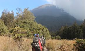 Gunung tertinggi pulau jawa, puncak mahameru. Dibatasi 120 Orang Per Hari Ini Protokol Pendakian Gunung Semeru Okezone Travel