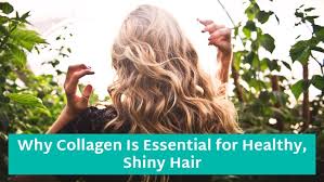 Collagen For Hair Why It Is Essential For Healthy Shiny Hair Further Food