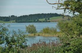 Wir waren am pfingstwochenende am forggensee. Datei Forggensee Beim Camping Brunnen Panoramio 1 Jpg Wikipedia