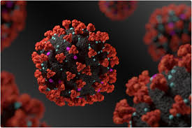 COVID-19 may not have appeared first in China, suggests new genomic study