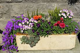 Blumen wachsen nicht nur im garten in den blumenbeeten, sondern die meisten pflanzen gedeihen. Blumenkubel Richtig Bepflanzen Und Den Garten Gestalten