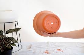 Pin my tips for how to drill a hole in a ceramic pot! Holey Moly How To Add Drainage Holes To All Your Pots Ctrl Curate