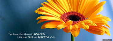 Check spelling or type a new query. The Flower Blooms Quote Photo Facebook Cover