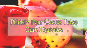 .cactus fruit, just under 4 ounces, contains 3.7 grams of fiber கல்வராயண் மலை சார்ந்த உணவு வகைகள் இந்த ச்சேனல்லில் வரும் அனைத்து வீடீயோக்களும் கல்வராயண் மலை மற்றும் அதை சுற்றியுள்ள இயற்கை சூழலில் எடுக்கப்பட்டது. Prickly Pear Cactus Juice Cure Diabetes Youtube