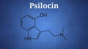 Psilocin Psilocybin The Drug Classroom