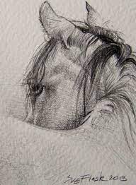 Pin On Horse Sketches