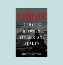 The bloodlands continues to build on the complexity of the multiplayer dungeons. Bloodlands Europe Between Hitler And Stalin Jewish Book Council