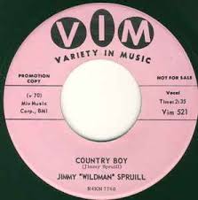 Wild Jimmy Spruill Discography: Vinyl, CDs, & More