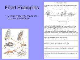 A rabbit eats the grass. Food Chains Food Webs D Crowley Ppt Video Online Download