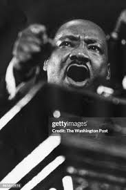 89 Merlin Martin Stock Photos, High-Res Pictures, and Images