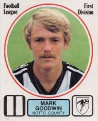 DT92 ~ Mark Goodwin