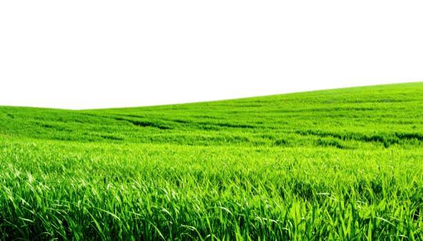 آینده بازار زمین در شمال چگونه است؟ 