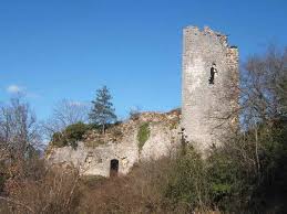 Chateau De Jasseron 01 Chateau Les Regions De France Chateau Fort