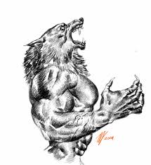 How to draw a werewolf easy step by step werewolves. Werewolf Sketch By Terminator7000 On Deviantart