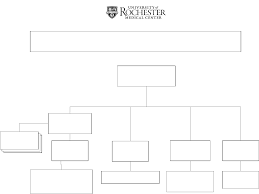 Download Hospital Organizational Chart 3 For Free