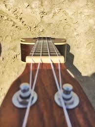 Pin By Sharzaan On Music Ukulele Playing Guitar Learning Ukulele