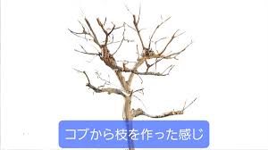 楽手入れ