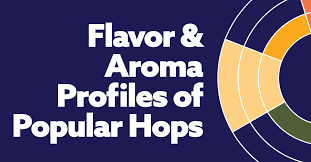 The Flavors Aromas In Craft Beers Popular Hops