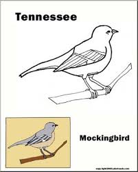 Of all the animals in florida the one you will probably first associate with florida in the alligator. Tennessee State Bird Mockingbird Abcteach