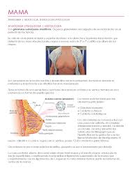 Patologia De Glandula Mamaria Docsity