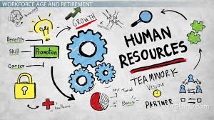 Strategic Human Resource Metrics Retention Turnover Video Lesson Transcript Study Com