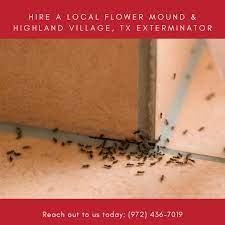 Maybe you would like to learn more about one of these? Flower Mound Pest Control Home Facebook