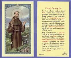 This helps emotionally and physiologically since you will always know that all is well after prayers. Prayer To St Francis Of Assisi For A Sick Pet Petswall