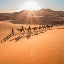 At camel trekking in merzouga we work hard to make your trip a unique experience, and to ensure that your journey will be one you will treasure forever. 1 Night Camel Trek Merzouga Merzouga Camel Tours Sahara Trips