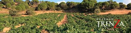 Todos los vinos de Bodegas Trenza