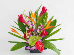 Rest assured, we are delivering! Hawaiian Flowers Leis Hawaiian Gift Baskets Loose Orchid Blooms