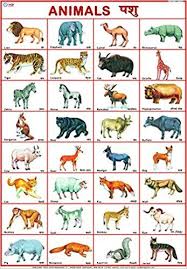 Let's say that a is for angelfish, and that b is for barnacle and then c is for cuttlefish. 12 Vk Ideas Preschool Charts Charts For Kids Alphabet Charts