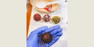 Artisan Chocolate Truffle-Making Class