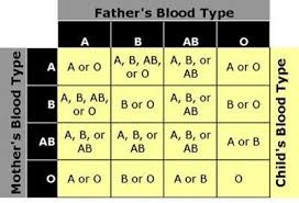 Blood Types Compatibility Human Blood Types And The