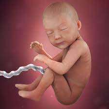 May 12, 2021 · pregnancy lasts about 40 weeks and has three phases or stages: 30 Weeks Pregnant Symptoms Signs Babycenter