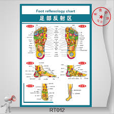 buy foot reflex zone poster large wall map of the human body