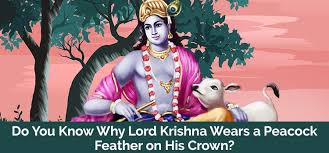Why Lord Krishna Wears Peacock Feather? - Mahesh - Medium