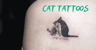 Malignant mast cell tumors in cats usually involve the intestine or spleen, and the spleen can become dramatically enlarged. Mast Cell Tumors In Dogs I Love Veterinary