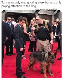 Roundup Of Cute Animal Memes Images 44 Memes Marvel Memes Funny Marvel Memes Marvel Jokes