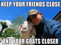The 25 Funniest Moments In Goat History Gallery