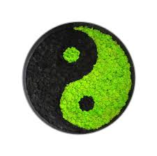 Moosschale Ying Yang Aus Islandmoos Island Moos Moos Moosbilder