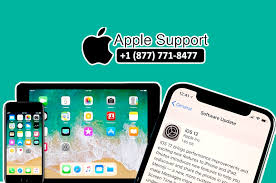 Apple Support Phone Number Apple Support Ipad Apple Help