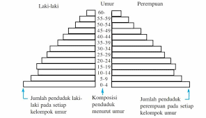 Check spelling or type a new query. Pengertian Piramida Penduduk Macam Bentuk Fungsi Contoh