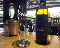 Image of Opolo Vineyards in Solvang
