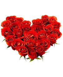 La composizione viene realizzata su una apposita base per conferire la forma di cuore, utilizzando rose rosse e verde decorativo. Cuore Di Rose Rosse Consegna Fiori Piacenza