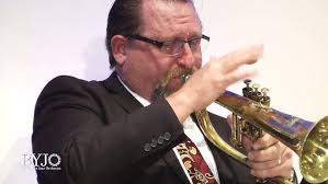 A Salute to Elvis Costello