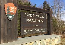 Forest Park