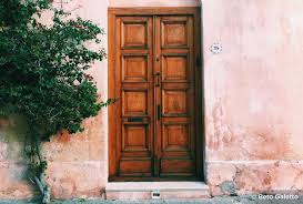 Girls selfies photos with pets. 65 Photography Project Ideas You Can Start Today Shutterfly