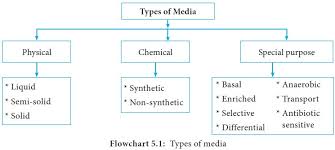 Maybe you would like to learn more about one of these? Bacteriological Media And Its Types